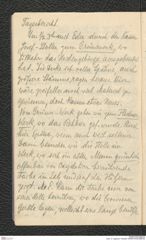 Seite 12, Tagebuch "Hallstatt" (NHMW-PRAE-BBB-90)